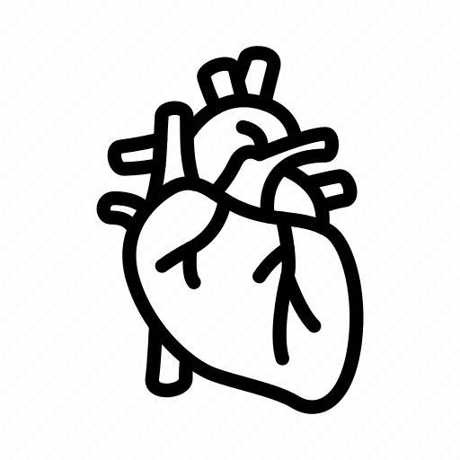 Cardiovascular